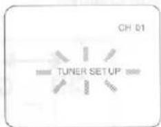 CH 01 TUNER SETUP