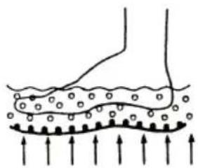 ECG MN 104 - BESCHREIBUNG - 4