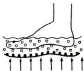 ECG MN 104 - OPIS - 4