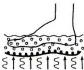ECG MN 104 - OPIS - 5