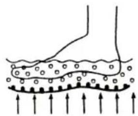 ECG MN 104 - LEÍRÁS - 4