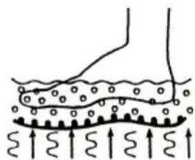 ECG MN 104 - POPIS - 5