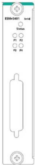 BSM-5401 serial Status P1 P2 P3 P4