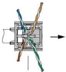 Panduit CJR6X88TGAW - 12