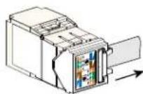 Panduit CJR6X88TGAW - 7