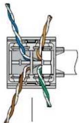 Panduit CJR6X88TGAW - 35
