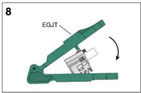 8 EGJT
