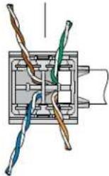 Panduit CJR6X88TGAW - 38
