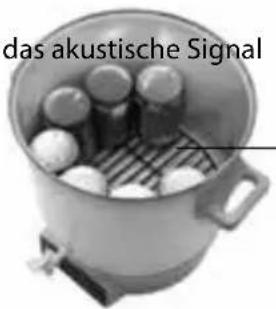das akustische Signal