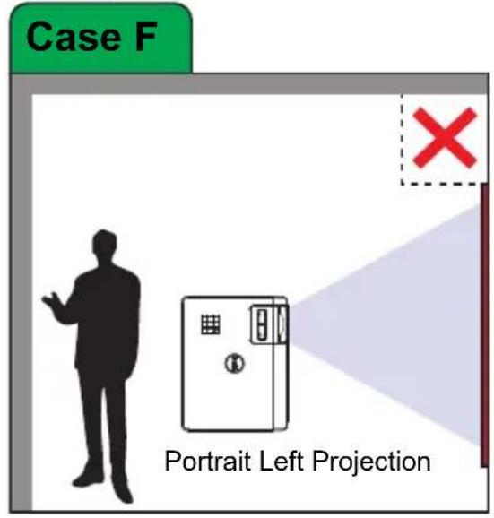 Case F × Portrait Left Projection