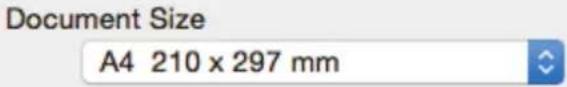 Document Size A4 210 x 297 mm