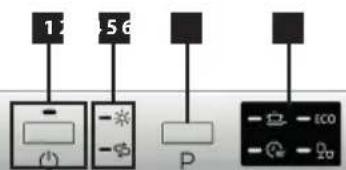 1 5 6 P