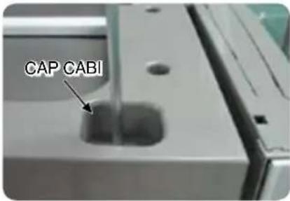 CAP CABI