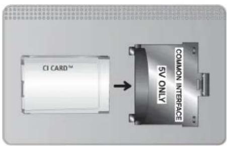 CI CARD™ COMMON INTERFACE SV ONLY