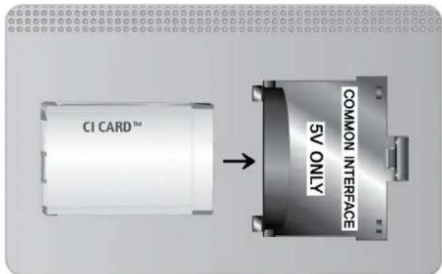 CI CARD™ COMMON INTERFACE 5V ONLY