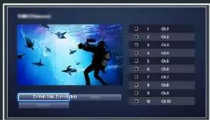 ZuJiao Disk Zunltpas 1 0.1 2 0.2 3 0.3 4 0.4 5 0.5 6 0.6 7 0.7 8 0.8 9 0.9 10 0.10