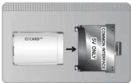 CI CARD™ COMMON INTERFACE 5V ONLY