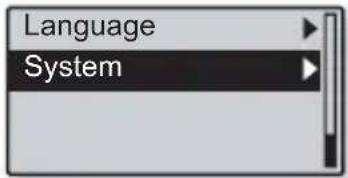 Language System