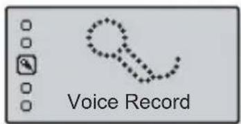 Voice Record