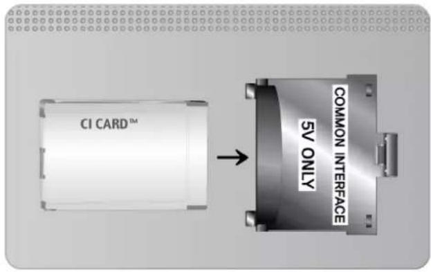 CI CARD™ COMMON INTERFACE 5V ONLY