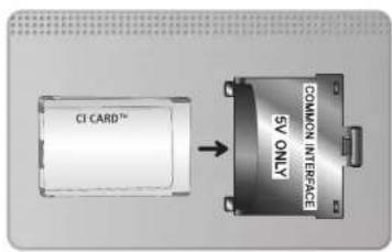 CI CARD™ COMMON INTERFACE 5V ONLY