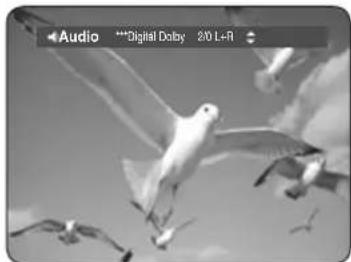 SAMSUNG DVD-HR737 - Použití tlačítka AUDIO - 1
