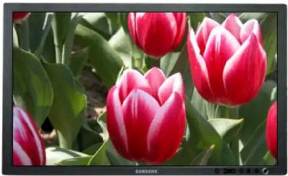 SAMSUNG 275T - Odebrání - 13