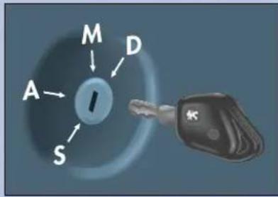M D A S