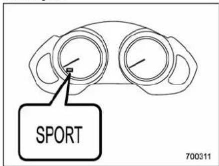 SPORT 700311