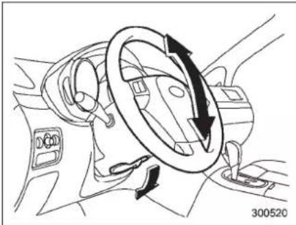 SUBARU Tribeca (2010) - WARNING - 1