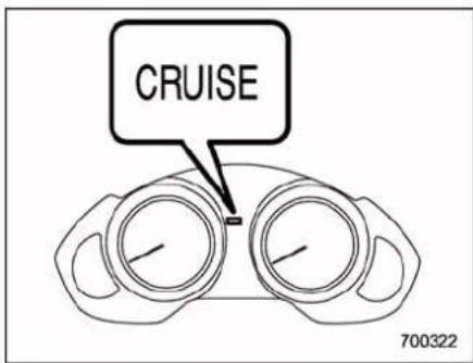 CRUISE 700322