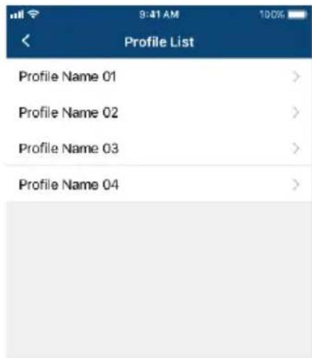 Profile List Profile Name 01 Profile Name 02 Profile Name 03 Profile Name 04