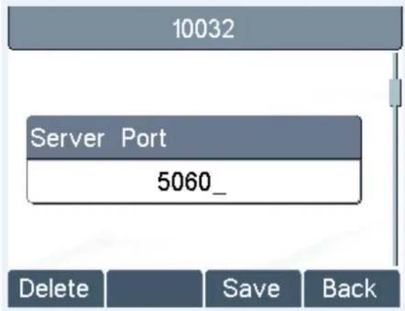 10032 Server Port 5060_ Delete Save Back