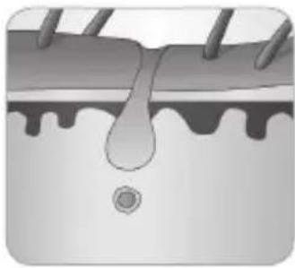 BABYLISS G973PE - Hårtillväxtens cykel - 6