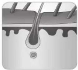 BABYLISS G973PE - Hårtillväxtens cykel - 5