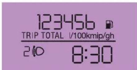 123456 TRIP TOTAL I/100kmip/gh 2:10 8:30