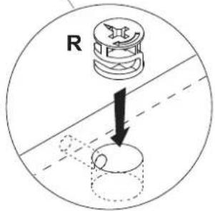 R
