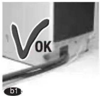 VOK b1