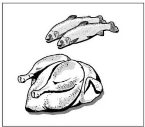 Illustration of two fish, one whole and one roasted chicken (no text or symbols)
