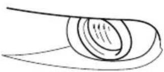 MAZDA 3 Hatchback (2008) - Fog lights - 1