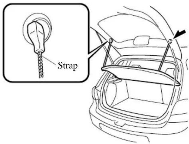 Strap