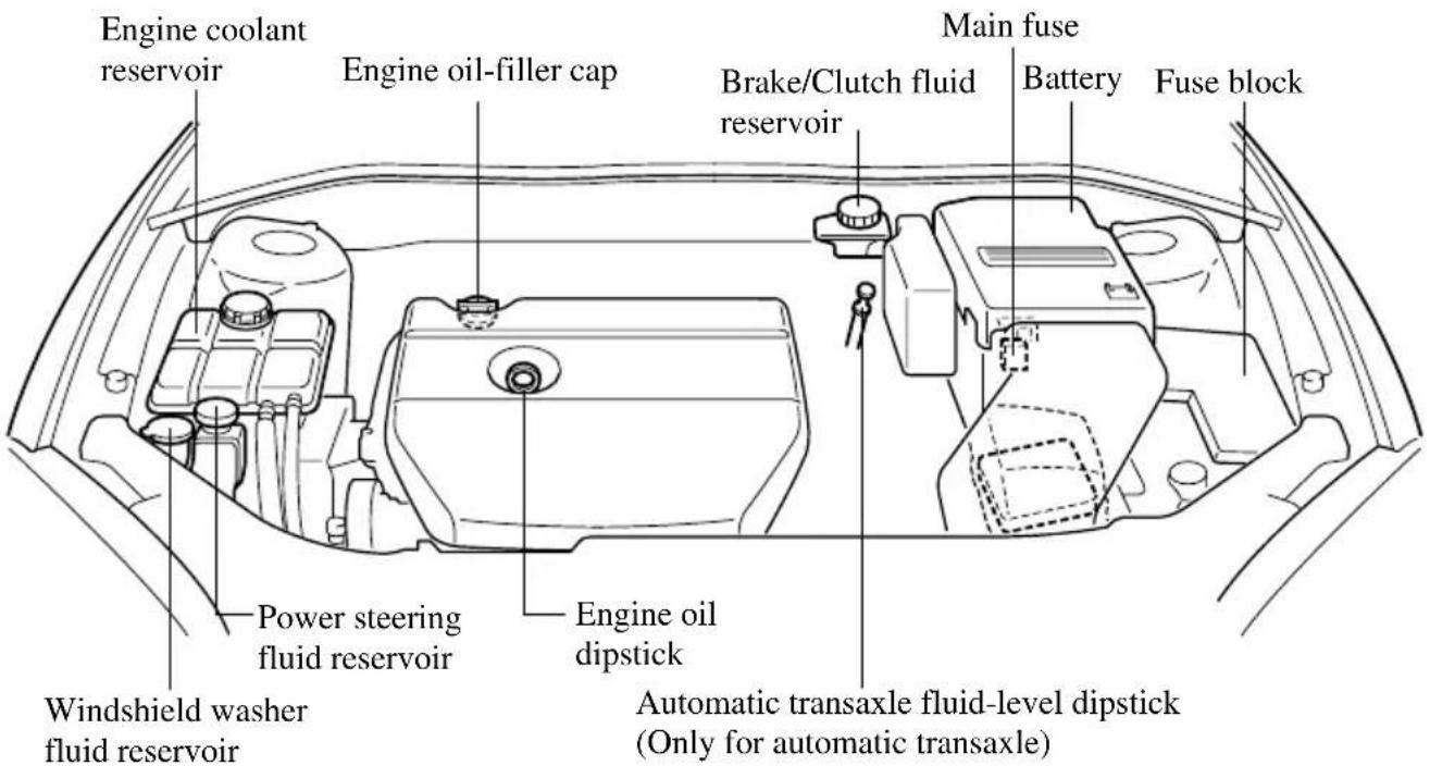 Engine coolant reservoir Engine oil-filler cap Brake/Clutch fluid reservoir Main fuse Battery Fuse block Windshield washer fluid reservoir Power steering fluid reservoir Engine oil dipstick Automatic transaxle fluid-level dipstick (Only for automatic transaxle)