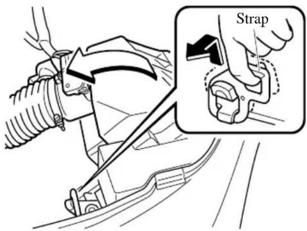 Strap
