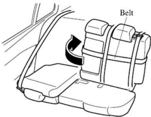 Belt