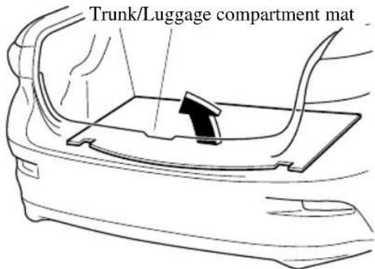 Trunk/Luggage compartment mat