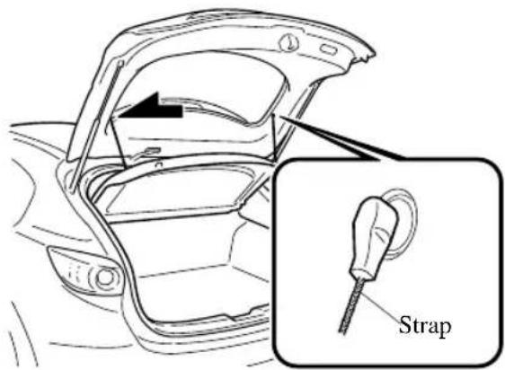 Strap