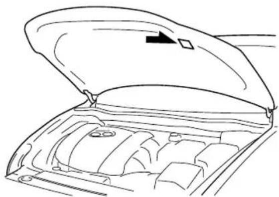 MAZDA 3 Hatchback (2018) - ▼ Chassis Number - 2