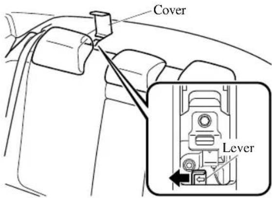 Cover Lever