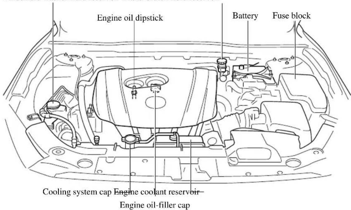 Engine oil dipstick Battery Fuse block Cooling system cap Engine coolant reservoir Engine oil-filler cap