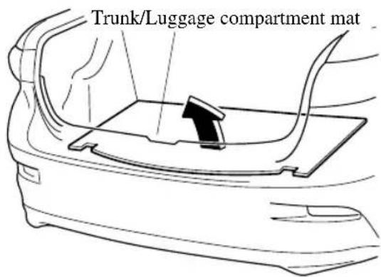 Trunk/Luggage compartment mat